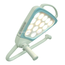 Examination LED Lamp with One Piece of Flower